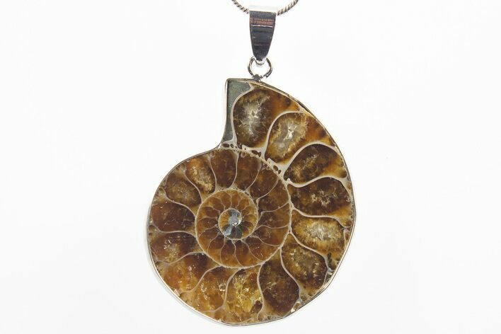 Fossil Ammonite Pendant - Million Years Old #306385